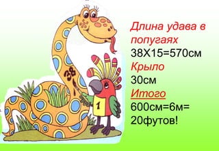 Длина удава в
попугаях
38Х15=570см
Крыло
30см
Итого
600см=6м=
20футов!
 