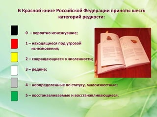 Красная книга Ростовской области. Растения. | PPT