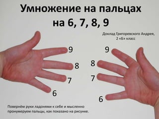 6
6
7 7
8 8
9 9
Умножение на пальцах
на 6, 7, 8, 9
Доклад Григоревского Андрея,
2 «Б» класс
Повернём руки ладонями к себе и мысленно
пронумеруем пальцы, как показано на рисунке.
 