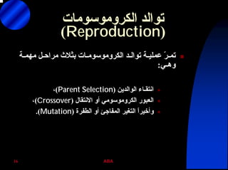 ABA16
‫ﺗﻮاﻟﺪ‬‫اﻟﻜﺮوﻣﻮﺳﻮﻣﺎت‬
)Reproduction(
‫ﺗﻮاﻟـﺪ‬ ‫ﻋﻤﻠﻴـﺔ‬ ّ‫ﺮ‬‫ﺗﻤـ‬‫اﻟﻜﺮوﻣﻮﺳﻮﻣـﺎت‬‫ﻣﻬﻤـﺔ‬ ‫ﻣﺮاﺣـﻞ‬ ‫ﺑﺜﻼث‬
‫وهـﻲ‬:
‫اﻟﻮاﻟﺪﻳﻦ‬ ‫اﻧﺘﻘـﺎء‬)Parent Selection(،
‫اﻟﻌﺒﻮر‬‫اﻟﻜﺮوﻣﻮﺳﻮﻣﻲ‬‫اﻻﻧﺘﻘﺎل‬ ‫أو‬)Crossover(،
‫اﻟﻄﻔﺮة‬ ‫أو‬ ‫اﻟﻤﻔﺎﺟﺊ‬ ‫اﻟﺘﻐﻴﺮ‬ ً‫ا‬‫وأﺧﻴﺮ‬)Mutation.(
 