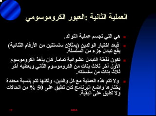 ABA19
‫اﻟﺜﺎﻧﻴﺔ‬ ‫اﻟﻌﻤﻠﻴﺔ‬:‫اﻟﻌﺒﻮر‬‫اﻟﻜﺮوﻣﻮﺳﻮﻣﻲ‬
‫اﻟﺘﻮاﻟﺪ‬ ‫ﻋﻤﻠﻴﺔ‬ ‫ﺗﺠﺴﻢ‬ ‫اﻟﺘﻲ‬ ‫هﻲ‬.
‫اﻟﻮاﻟﺪﻳﻦ‬ ‫اﺧﺘﻴﺎر‬ ‫ﻓﺒﻌﺪ‬)‫اﻟﺜﻨﺎﺋﻴﺔ‬ ‫اﻷرﻗﺎم‬ ‫ﻣﻦ‬ ‫ﺳﻠﺴﻠﺘﻴﻦ‬ ‫ﻳﻤﺜﻼن‬(
‫اﻟﺴﻠﺴﻠﺔ‬ ‫ﻣﻦ‬ ‫ﺟﺰء‬ ‫ﺗﺒﺎدل‬ ‫ﻳﻘﻊ‬.
ً‫ﺎ‬‫ﺗﻤﺎﻣ‬ ‫ﻋﺸﻮاﺋﻴﺔ‬ ‫اﻟﺘﺒﺎدل‬ ‫ﻧﻘﻄﺔ‬ ‫ﺗﻜﻮن‬.‫ﻳﺄﺧﺬ‬ ‫آﺄن‬‫اﻟﻜﺮوﻣﻮﺳﻮم‬
‫ﺛﻼث‬ ‫ﺁﺧﺮ‬ ‫اﻷول‬‫ﺑﺘﺎت‬‫ﻣﻦ‬‫اﻟﻜﺮوﻣﻮﺳﻮم‬‫ﺁﺧﺮ‬ ‫وﻳﻌﻄﻴﻪ‬ ‫اﻟﺜﺎﻧﻲ‬
‫ﺛﻼث‬‫ﺑﺘﺎت‬‫ﺳﻠﺴﻠﺘﻪ‬ ‫ﻣﻦ‬.
‫ﻣﺤﺪدة‬ ‫ﺑﻨﺴﺒﺔ‬ ‫ﺗﺘﻢ‬ ‫وﻟﻜﻨﻬﺎ‬ ،‫واﻟﺪﻳﻦ‬ ‫آﻞ‬ ‫ﻣﻊ‬ ‫اﻟﻌﻤﻠﻴﺔ‬ ‫هﺬﻩ‬ ‫ﺗﺘﻢ‬ ‫وﻻ‬
‫ﻋﻠﻰ‬ ‫ﺗﻄﺒﻖ‬ ‫آﺄن‬ ‫اﻟﺒﺮﻧﺎﻣﺞ‬ ‫واﺿﻊ‬ ‫ﻳﺨﺘﺎرهﺎ‬50%‫اﻟﺤﺎﻻت‬ ‫ﻣﻦ‬
‫اﻟﺒﻘﻴﺔ‬ ‫ﻋﻠﻰ‬ ‫ﺗﻄﺒﻖ‬ ‫وﻻ‬.
 