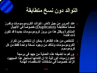 ABA48
‫ﻣﺘﻄﺎﺑﻘﺔ‬ ‫ﻧﺴﺦ‬ ‫دون‬ ‫اﻟﺘﻮاﻟﺪ‬
‫ﺗﺘﻮاﻟـﺪ‬ ،‫ﻵﺧـﺮ‬ ‫ﺟﻴﻞ‬ ‫ﻣﻦ‬ ‫اﻟﻤﺮور‬ ‫ﻋﻨﺪ‬‫اﻟﻜﺮوﻣﻮﺳﻮﻣـﺎت‬‫وﺗﻔـﺮز‬
‫ﻣﺘﻄﺎﺑﻘـﺔ‬ ً‫ﺎ‬‫ﻧﺴﺨـ‬)Duplicates(‫اﻷﺟﻴﺎل‬ ‫ﻓﻲ‬ ً‫ﺎ‬‫ﺧﺼﻮﺻ‬
‫ﺗﻜﻮن‬ ‫ﻗﺪ‬ ‫ﺟﺪﻳﺪة‬ ‫آﺮوﻣﻮﺳﻮﻣﺎت‬ ‫ﺑﺮوز‬ ‫ﻣﻦ‬ ‫هﺬا‬ ‫وﻳﻘﻠﻞ‬ ‫اﻟﻤﺘﺄﺧﺮة‬
‫ﻓﺎﺋﺪة‬ ‫ذات‬
‫ﺗﻜﺮار‬ ‫ﻣﻦ‬ ‫ﻧﺘﺨﻠﺺ‬ ‫أن‬ ‫ﻳﻤﻜﻦ‬ ،‫اﻟﻈﺎهﺮة‬ ‫هﺬﻩ‬ ‫ﻣﻦ‬ ‫ﻟﻠﺘﺨﻠﺺ‬
‫اﻟﻜﺮوﻣﻮﺳﻮﻣﺎت‬‫آﻞ‬ ‫ﻣﻦ‬ ‫ﻓﻘﻂ‬ ‫واﺣﺪة‬ ‫ﻧﺴﺨﺔ‬ ‫وﺟﻮد‬ ‫ﻣﻦ‬ ‫وﻧﺘﺄآﺪ‬
‫آﺮوﻣﻮﺳﻮم‬
‫ﺑﺮﻣﺠﺔ‬ ‫ﻓﻲ‬ ‫ﺟﻬﺪ‬ ‫ﻣﻦ‬ ‫اﻟﻌﻤﻠﻴﺔ‬ ‫هﺬﻩ‬ ‫ﺗﻀﻴﻔﻪ‬ ‫ﻣﺎ‬ ‫ورﻏﻢ‬
‫اﻟﻤﺠﻬﻮد‬ ‫هﺬا‬ ‫ﺗﺴﺘﺤﻖ‬ ‫ﻓﺎﺋﺪﺗﻬﺎ‬ ‫أن‬ ‫إﻻ‬ ‫اﻟﻮراﺛﻴﺔ‬ ‫اﻟﺨﻮارزﻣﻴﺎت‬
‫اﻟﻬﺎﻣﺔ‬ ‫اﻻﺳﺘﻘﺼﺎء‬ ‫ﻣﺸﻜﻼت‬ ‫ﻓﻲ‬ ً‫ﺎ‬‫ﺧﺼﻮﺻ‬ ‫اﻟﺰاﺋﺪ‬
 