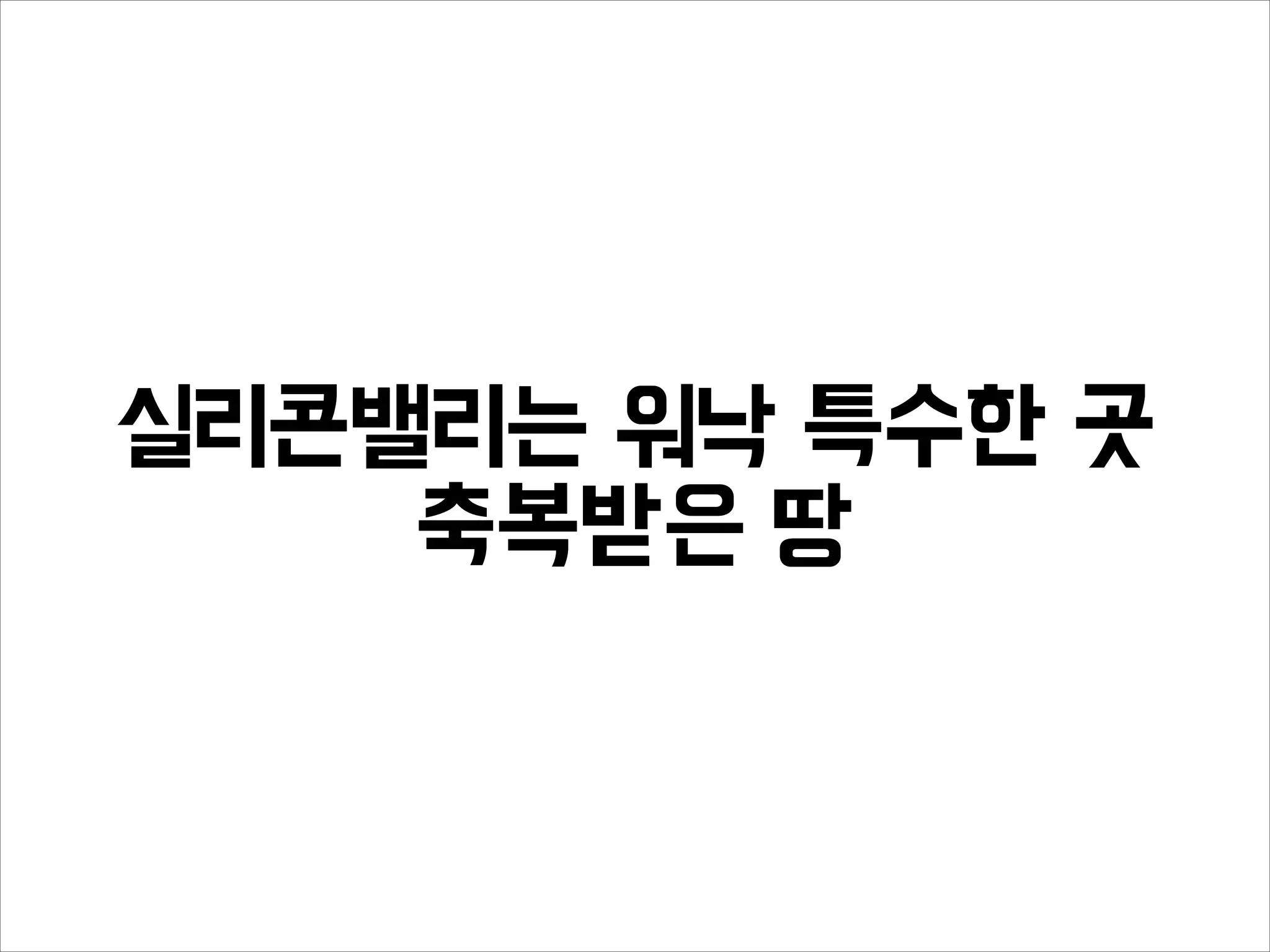 실리콘밸리는 워낙 특수한 곳
축복받은 땅
 