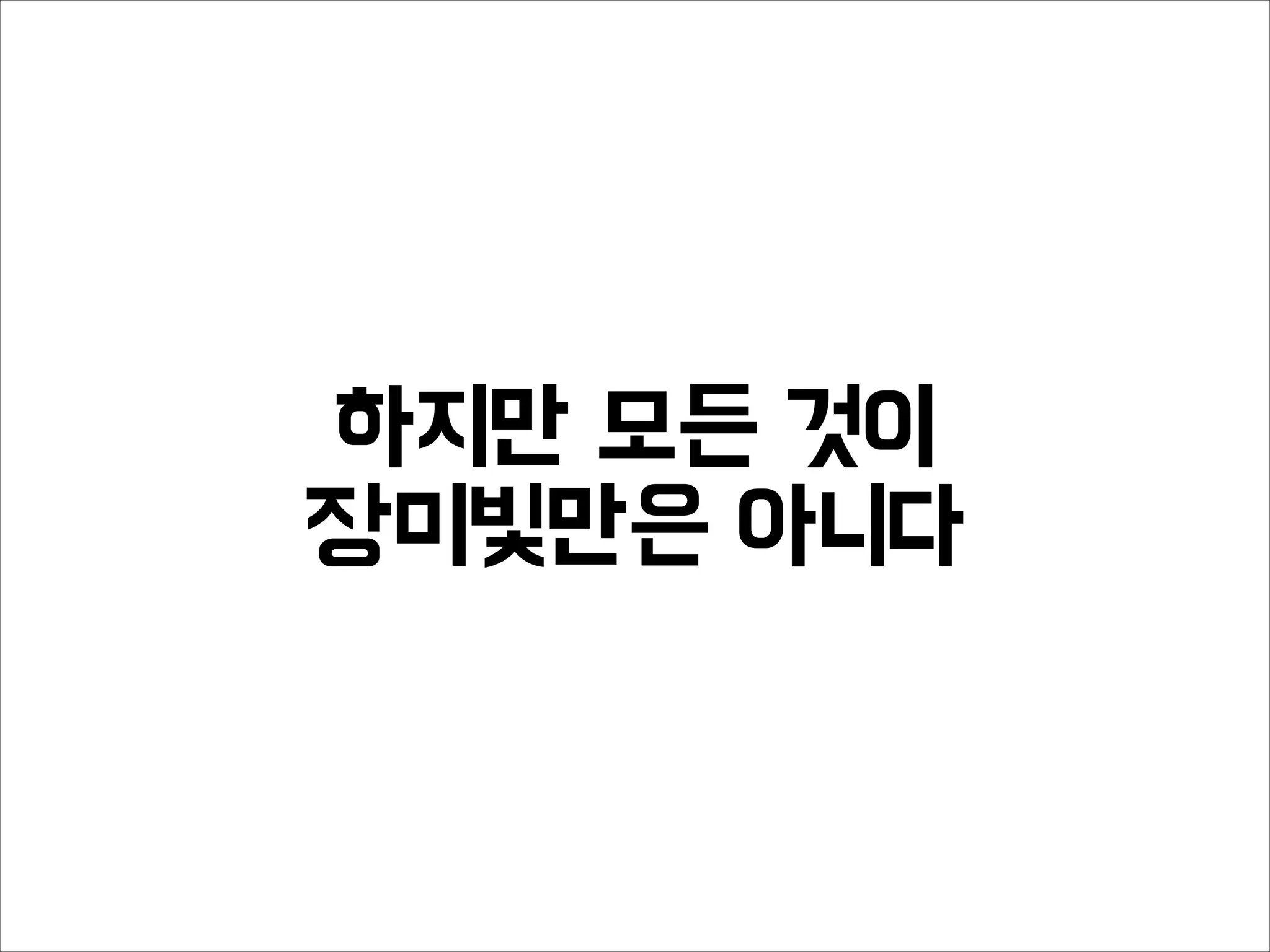 하지만 모든 것이
장미빛만은 아니다
 