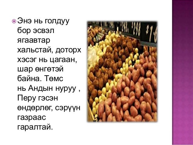төмс хүнсний ногоо