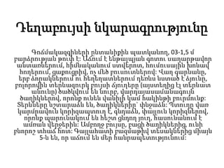 Դեղաբույսի նկարագրությունը
Գոճմակազգիների ընտանիքին պատկանող, 03-1,5 մ
բարձրության թուփ է: Աճում է ենթալպյան գոտու սաղարթավոր
անտառներում, հիմնականում ստվերոտ, հումուսային խոնավ
հողերում, ցաքուցրիվ, ոչ մեծ բուսուտներով: Վաղ գարնանը,
երբ ձորակներում ու հեղեղատներում դեռևս նստած է ձյունը,
բոլորովին տերևազուրկ բույսի ճյուղերը (այստեղից էլ տերևատ
անունը) ծածկվում են նուրբ, վարդայասամանագույն
ծաղիկներով, որոնք ունեն վանիլի կամ հակինթի բուրմունք:
Տերևները նշտարաձև են, ծաղիկներիը` փնջաձև: Պտուղը վառ
կարմրավուն կորիզապտուղ է, գնդաձև, փայլուն կորիզներով,
որոնք պարունակում են հեշտ ցնդող յուղ, հասունանում է
ամռան վերջերին: Ամբողջ բույսը, բացի ծաղիկներից, ունի
բնորոշ տհաճ հոտ: Գայլահատի բազմաթիվ տեսակներից միայն
5-ն են, որ աճում են մեր հանրապետությունում:
 