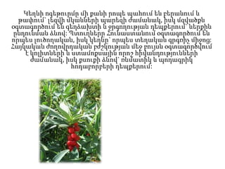 Կեղևի ոգեթուրմը մի քանի րոպե պահում են բերանում և
թափում` լեզվի մկանների պարեզի ժամանակ, իսկ մզվածքն
օգտագործում են գեղձախտի և ջրգողության դեպքերում` ներքին
ընդունման ձևով: Պտուղները Հունաստանում օգտագործում են
որպես լուծողական, իսկ կեղևը` որպես տեղական գրգռիչ միջոց:
Հայկական ժողովրդական բժշկության մեջ բույսն օգտագործվում
է կոլիտների և ստամոքսային որոշ հիվանդությունների
ժամանակ, իսկ քսուքի ձևով` ռևմատիկ և պոդագրիկ
հոդաբորբերի դեպքերում:
 