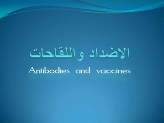 Antibodies and vaccines
 