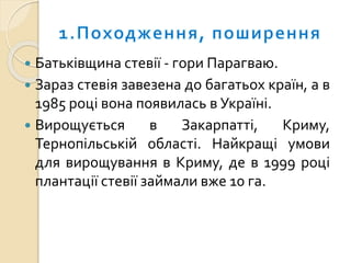  Батьківщина стевії - гори Парагваю.
 Зараз стевія завезена до багатьох країн, а в
1985 році вона появилась в Україні.
 Вирощується в Закарпатті, Криму,
Тернопільській області. Найкращі умови
для вирощування в Криму, де в 1999 році
плантації стевії займали вже 10 га.
 