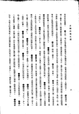 Union Culture Orgnization 友联活页文选 -    語體散文