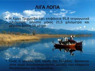 ΛΙΓΑ ΛΟΓΙΑ
• Η λίμνθ Σριχωνίδα ζχει επιφάνεια 95,8 τετραγωνικά
χιλιόμετρα, μζγιςτο μικοσ 21,5 χιλιόμετρα και
μζγιςτο βάκοσ 58 μζτρα.
• Είναι θ μεγαλφτερθ λίμνθ τθσ Ελλάδασ. Βρίςκεται
ςτον νομό Αιτωλοακαρνανίασ, μεταξφ των επαρχιϊν
Μεςολογγίου και Σριχωνίδασ.
 