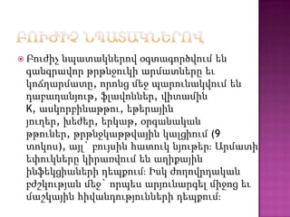  Բուժիչ նպատակներով օգտագործվում են
գանգրավոր թրթնջուկի արմատները եւ
կոճղարմատը, որոնց մեջ պարունակվում են
դաբաղանյութ, ֆլավոններ, վիտամին
K, ասկորբինաթթու, եթերային
յուղեր, խեժեր, երկաթ, օրգանական
թթուներ, թրթնջկաթթվային կալցիում (9
տոկոս), այլ` բույսին հատուկ նյութերֈ Արմատի
եփուկները կիրառվում են աղիքային
ինֆեկցիաների դեպքումֈ Իսկ ժողովրդական
բժշկության մեջ` որպես արյունարգել միջոց եւ
մաշկային հիվանդությունների դեպքումֈ
 