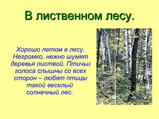 Птицы Нашего Леса | PPT