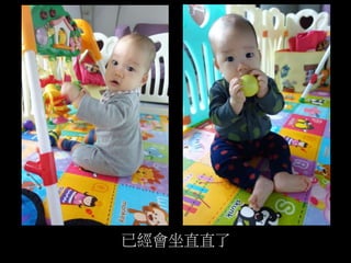 已經會坐直直了
 