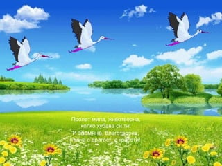 Пролет мила, животворна,
колко хубава си ти!
И засмяна, благотворна,
пълна с драгост, с красоти!
 