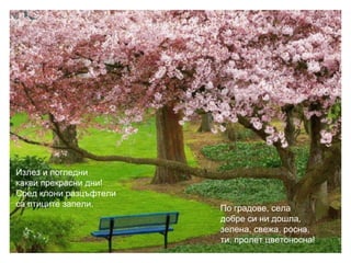 Излез и погледни
какви прекрасни дни!
Сред клони разцъфтели
са птиците запели. По градове, села
добре си ни дошла,
зелена, свежа, росна,
ти, пролет цветоносна!
 