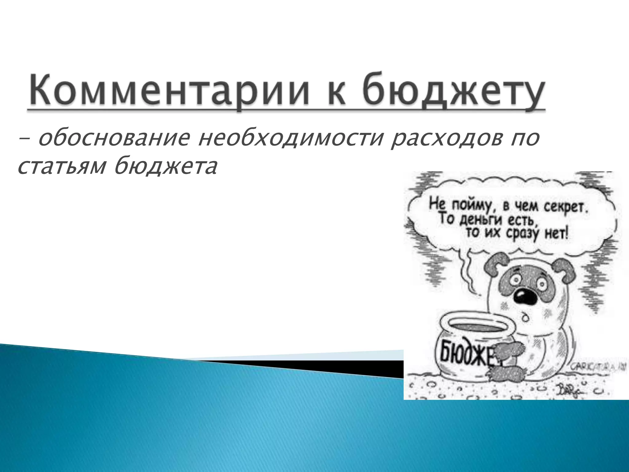- обоснование необходимости расходов по
статьям бюджета
 
