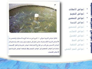 إنشاء احواض الاستزراع السمكى ( مصطفى الخولي )