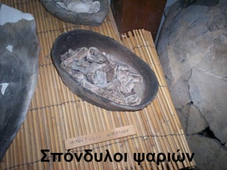 Σπόνδυλοι ψαριών
 