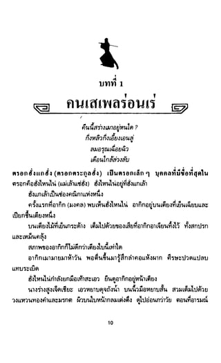 ซาเสียวเอี้ย