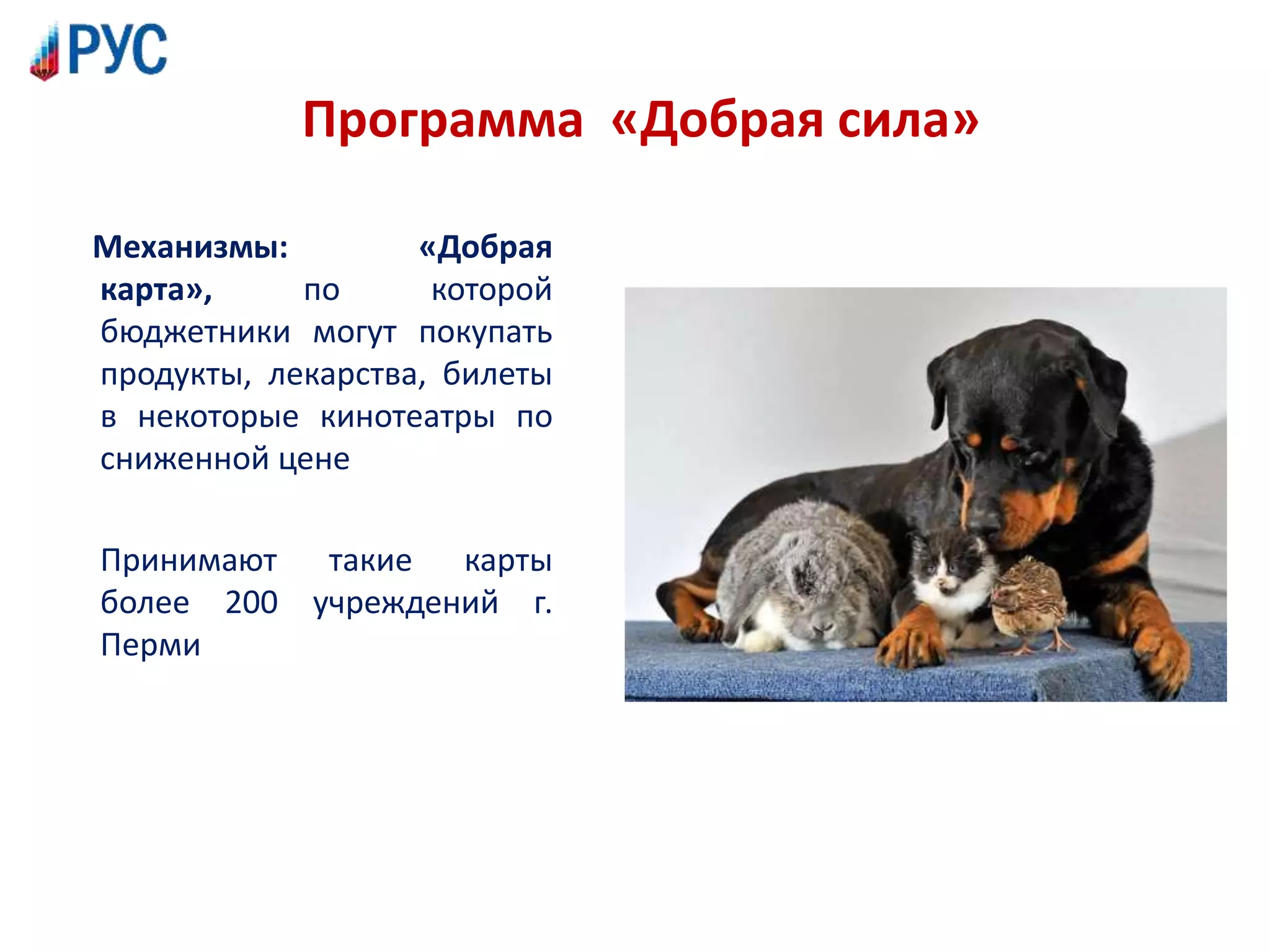 Программа «Добрая сила»
Механизмы: «Добрая
карта», по которой
бюджетники могут покупать
продукты, лекарства, билеты
в некоторые кинотеатры по
сниженной цене
Принимают такие карты
более 200 учреждений г.
Перми
 