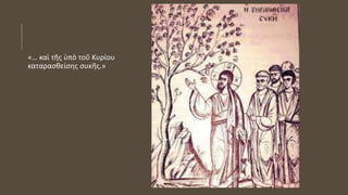«… καὶ τῆς ὑπὸ τοῦ Κυρίου
καταρασθείσης συκῆς.»
 