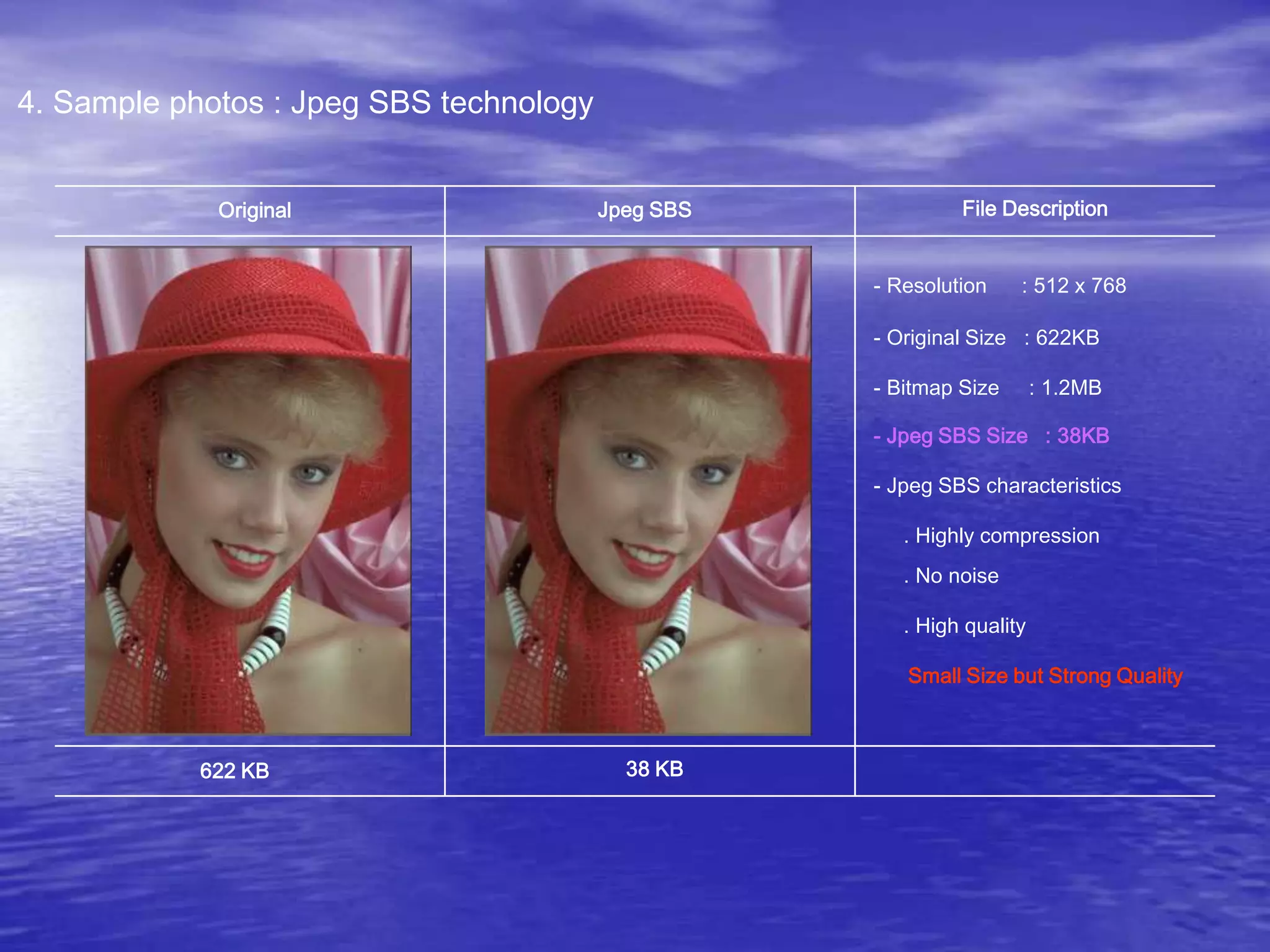 4. Sample photos : Jpeg SBS technology
Original Jpeg SBS
622 KB 38 KB
File Description
- Resolution : 512 x 768
- Original Size : 622KB
- Jpeg SBS Size : 38KB
- Jpeg SBS characteristics
. Highly compression
. No noise
. High quality
- Bitmap Size : 1.2MB
Small Size but Strong Quality
 