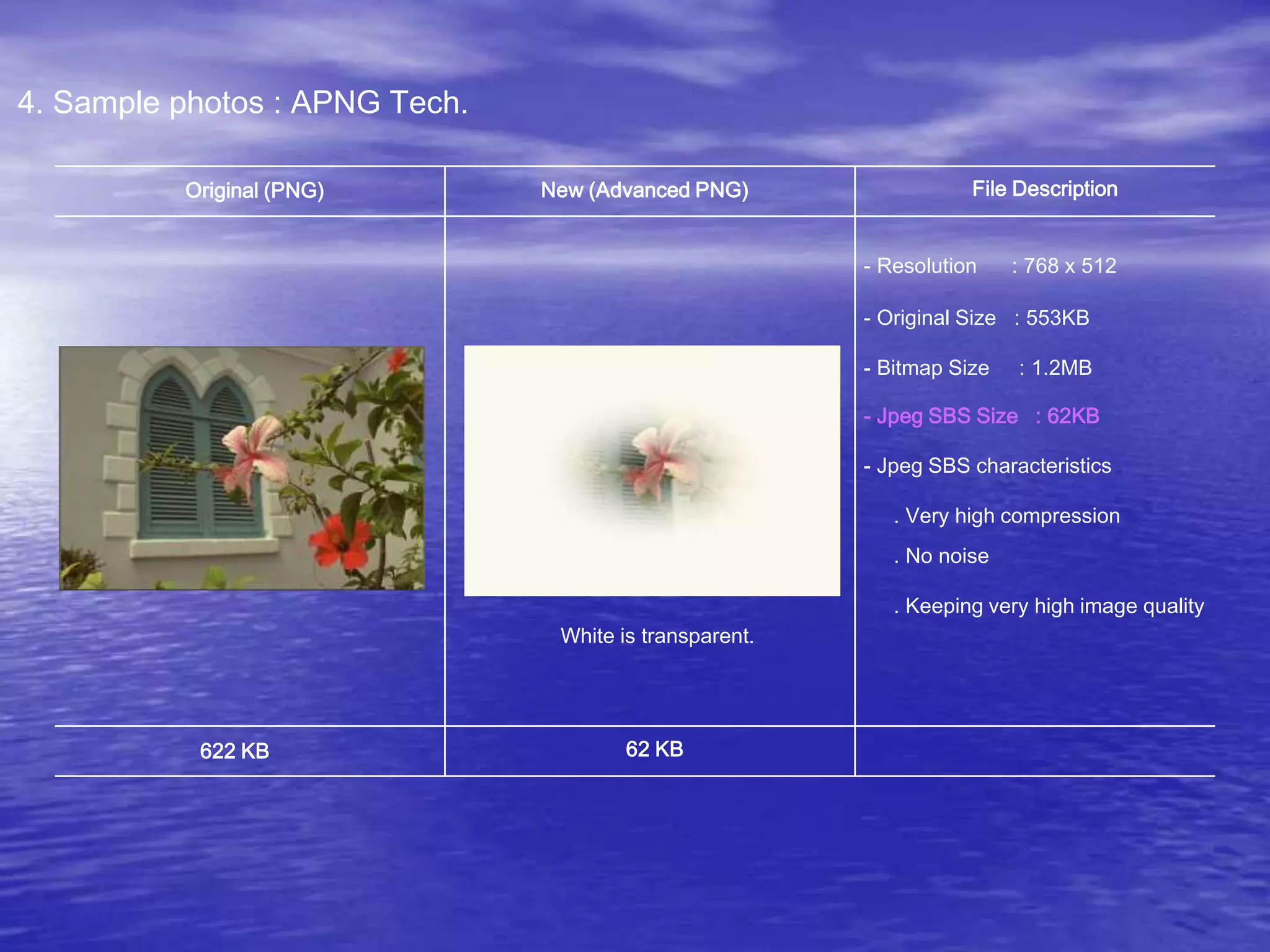 Original (PNG) New (Advanced PNG)
622 KB 62 KB
File Description
- Resolution : 768 x 512
- Original Size : 553KB
- Jpeg SBS Size : 62KB
- Jpeg SBS characteristics
. Very high compression
. No noise
. Keeping very high image quality
- Bitmap Size : 1.2MB
White is transparent.
4. Sample photos : APNG Tech.
 