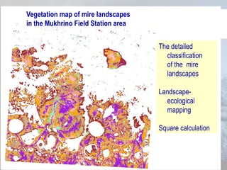 The detailed
classification
of the mire
landscapes
Landscape-
ecological
mapping
Square calculation
Vegetation map of mire landscapes
in the Mukhrino Field Station area
 