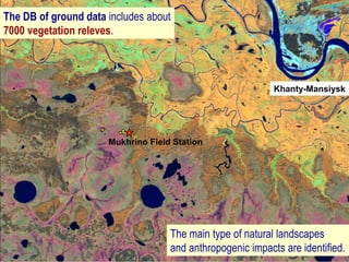 The main type of natural landscapes
and anthropogenic impacts are identified.
The DB of ground data includes about
7000 vegetation releves.
Mukhrino Field Station
Khanty-Mansiysk
 