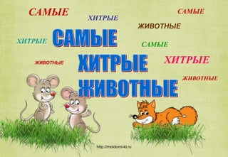 http://moidomi-ki.ru
САМЫЕ
ХИТРЫЕ
ХИТРЫЕ
САМЫЕ
САМЫЕ
ХИТРЫЕ
ЖИВОТНЫЕ
ЖИВОТНЫЕ
ЖИВОТНЫЕ
 