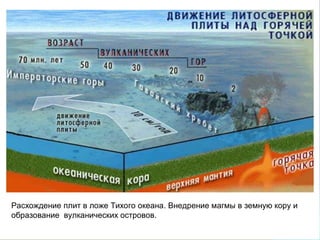 Расхождение плит в ложе Тихого океана. Внедрение магмы в земную кору и
образование вулканических островов.
 