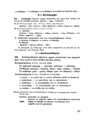 ΝΕΟΕΛΛΗΝΙΚΗ ΓΡΑΜΜΑΤΙΚΗ