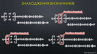 ЗНАХОДЖЕННЯ ВИЗНАЧНИКІВ
Євстратьєв С.
 