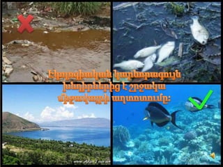 էկոտուր
