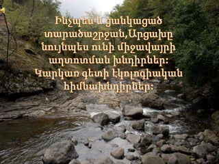 էկոտուր
