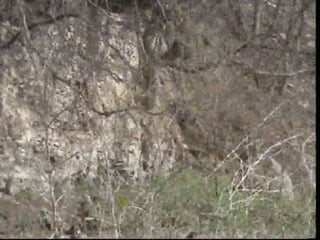 էկոտուր