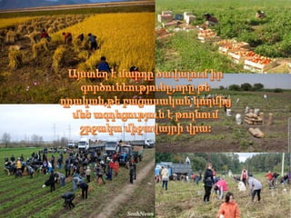 էկոտուր