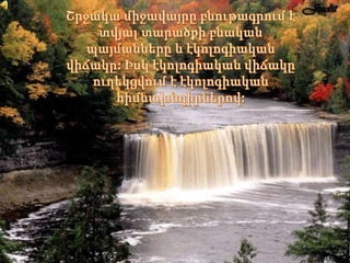 էկոտուր