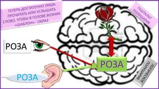 РОЗА
РОЗА
РОЗА
 