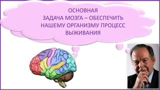 КАКОВА ОСНОВНАЯ
ЗАДАЧА
МОЗГА?
ОСНОВНАЯ
ЗАДАЧА МОЗГА – ОБЕСПЕЧИТЬ
НАШЕМУ ОРГАНИЗМУ ПРОЦЕСС
ВЫЖИВАНИЯ
 