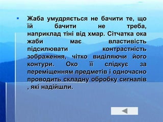  Жаба умудряється не бачити те, що
їй бачити не треба,
наприклад тіні від хмар. Сітчатка ока
жаби має властивість
підсилювати контрастність
зображення, чітко виділяючи його
контури. Око її слідкує за
переміщенням предметів і одночасно
проводить складну обробку сигналів
, які надійшли.
 