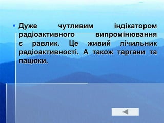  Дуже чутливим індікатором
радіоактивного випромінювання
є равлик. Це живий лічильник
радіоактивності. А також таргани та
пацюки.
 