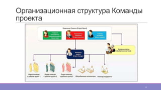 Организационная структура Команды
проекта
12
 