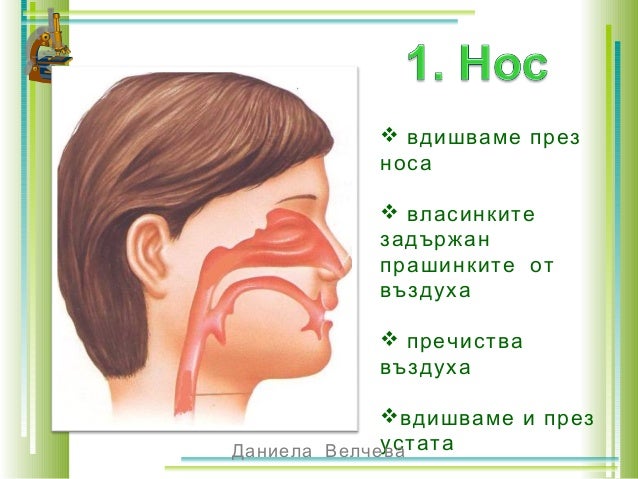 дихателна система