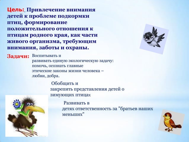 угощение для птиц вкусняшка | PPT
