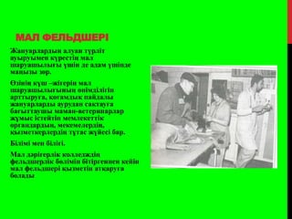 МАЛ ФЕЛЬДШЕРІ
Жануарлардың алуан түрліт
ауыруымен күрестің мал
шаруашылығы үшін де адам үшінде
маңызы зор.
Өзінің күш –жігерін мал
шаруашылығының өнімділігін
арттыруға, қоғамдық пайдалы
жануарларды аурудан сақтауға
бағыттаушы маман-ветеринарлар
жұмыс істейтін мемлекеттік
органдардың, мекемелердің,
қызметкерлердің тұтас жүйесі бар.
Білімі мен білігі.
Мал дәрігерлік колледждің
фельдшерлік бөлімін бітіргеннен кейін
мал фельдшері қызметін атқаруға
болады
 