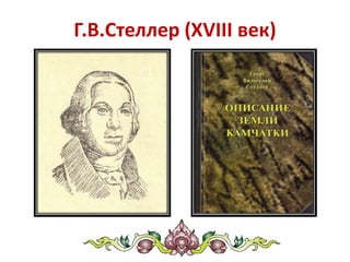 Г.В.Стеллер (XVIII век)
 