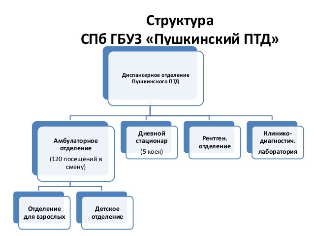Структура диспансера. Структура диспансера