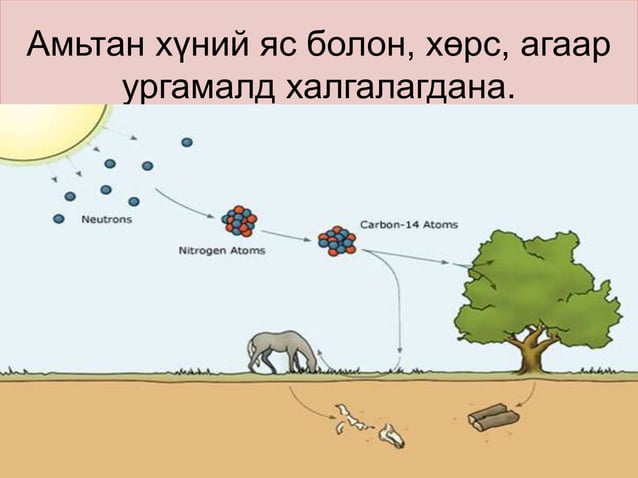 нүүрстөрөгч